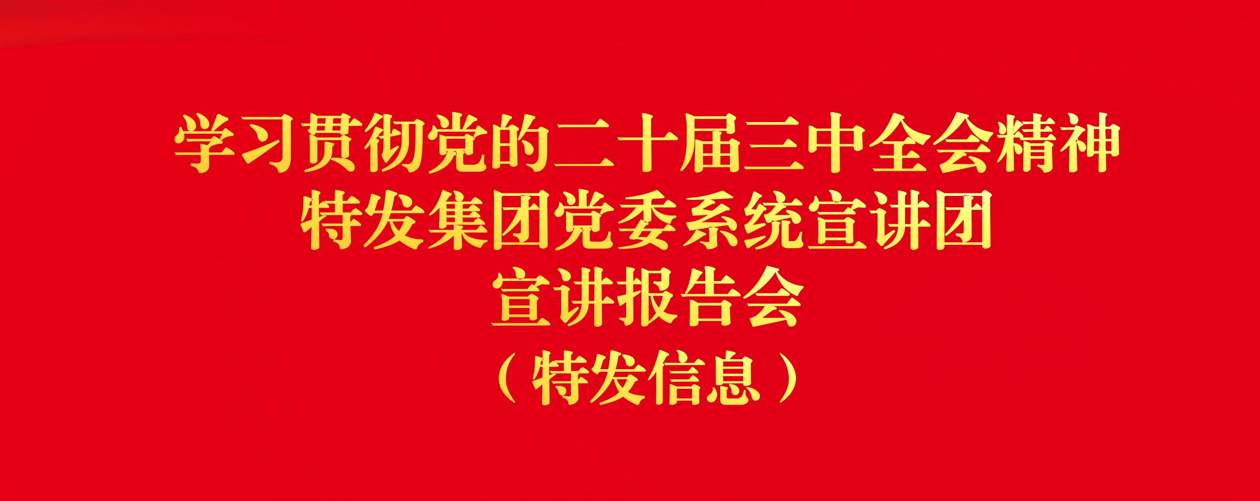 特發(fā)信息黨委舉行學(xué)習(xí)貫徹黨的二十屆 三中全會精神特發(fā)集團黨委系統(tǒng)宣講團宣講報告會